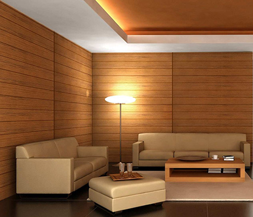 Interior Designer